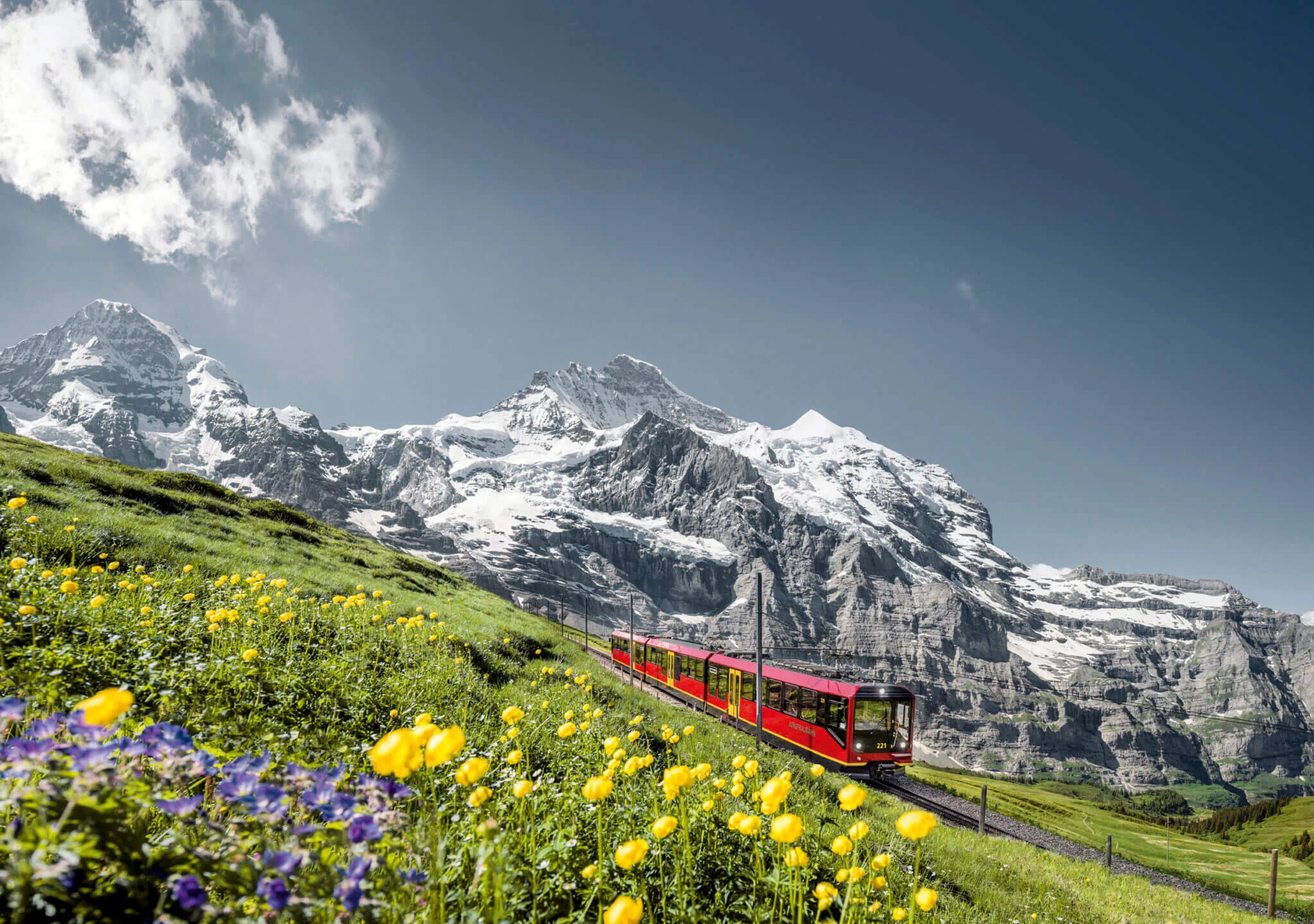 Zwisu Rabatt Swiss Half Fare Card | 50 % Rabatt auf Züge, Busse und Schiffe